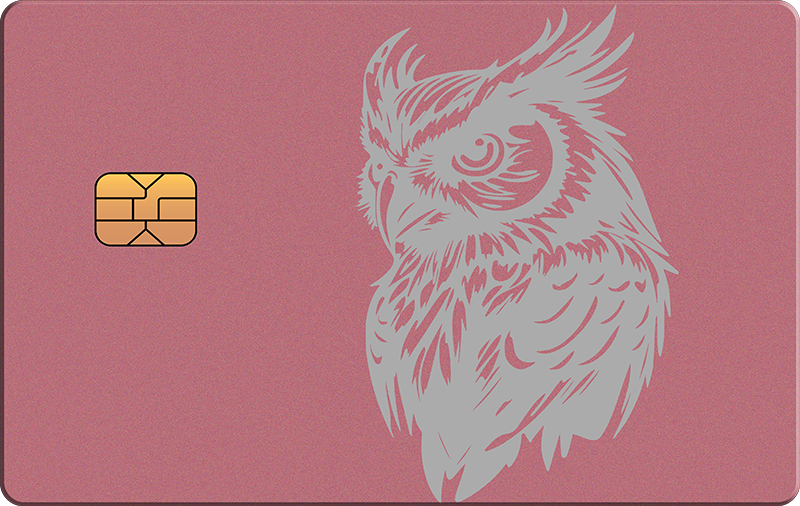 Owl 3